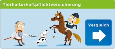 Hundekrankenversicherung Vergleich | Online | BesserBerater